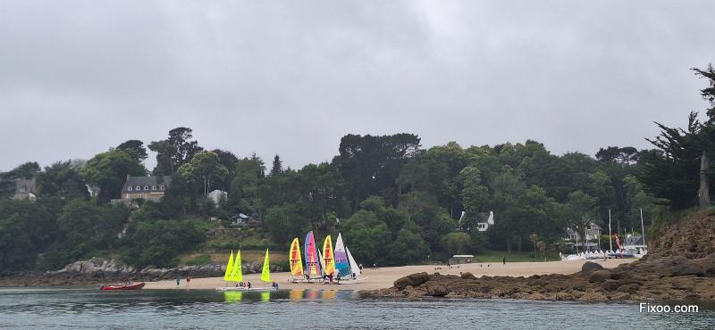 Livre de bord de Zen, 2024